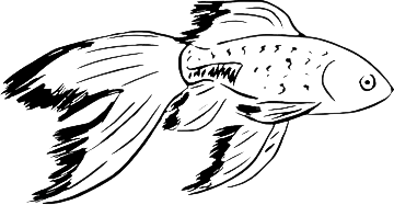 Экзотические